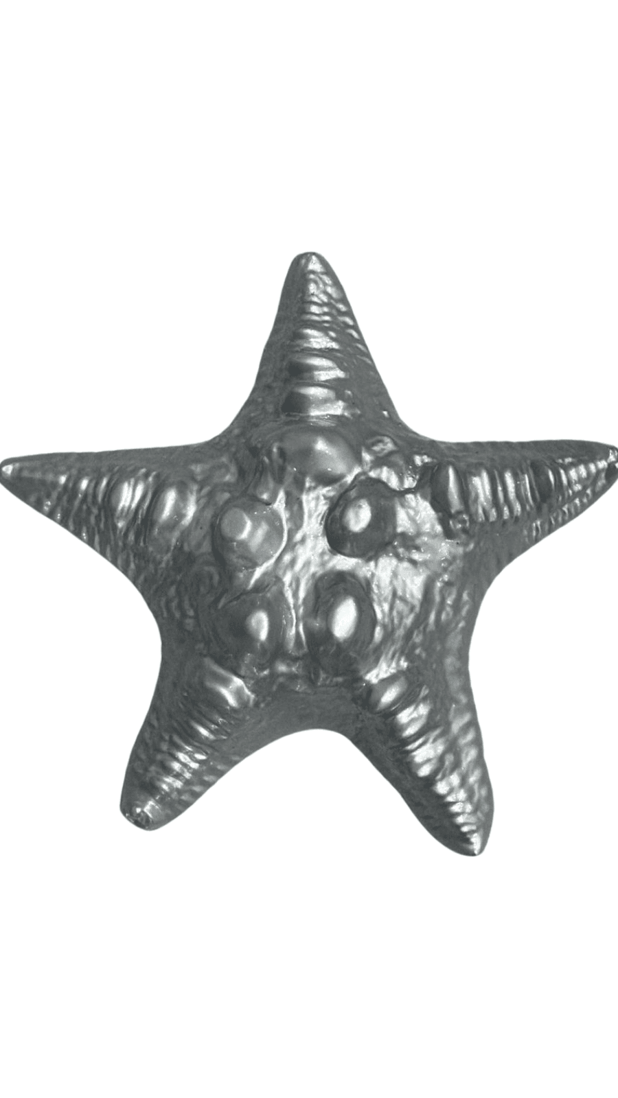 Pemberat Bintang Laut 1kg
