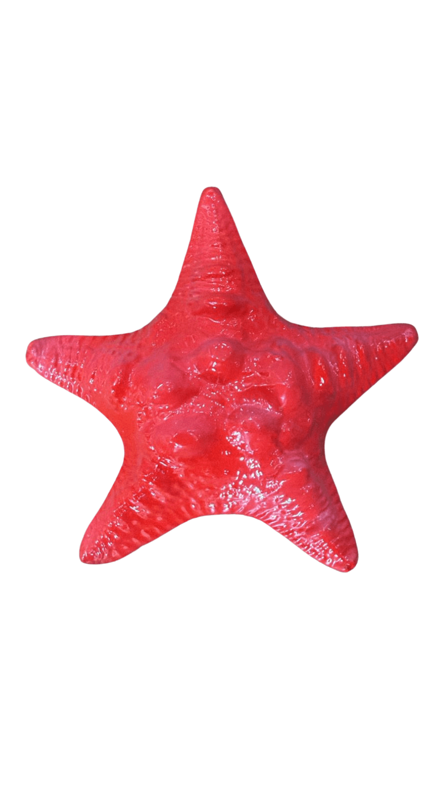 Pemberat Bintang Laut 1kg - alternate view