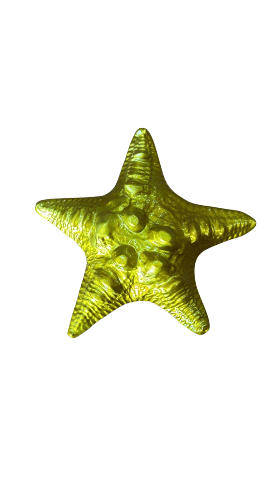 Pemberat Bintang Laut 1kg thumbnail 3