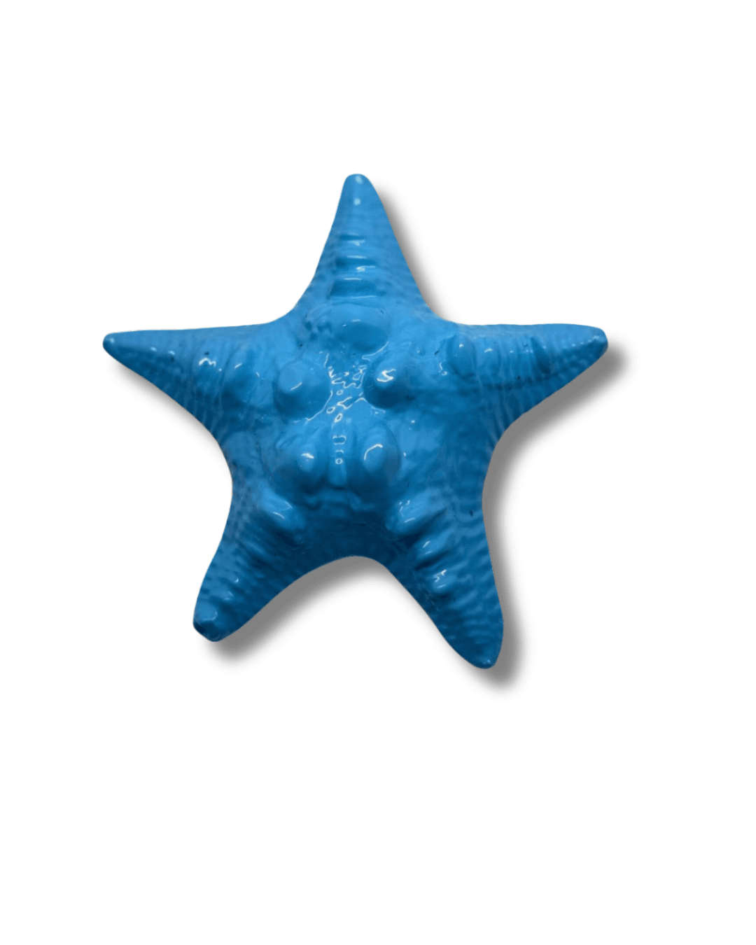 Pemberat Bintang Laut 1kg thumbnail 4
