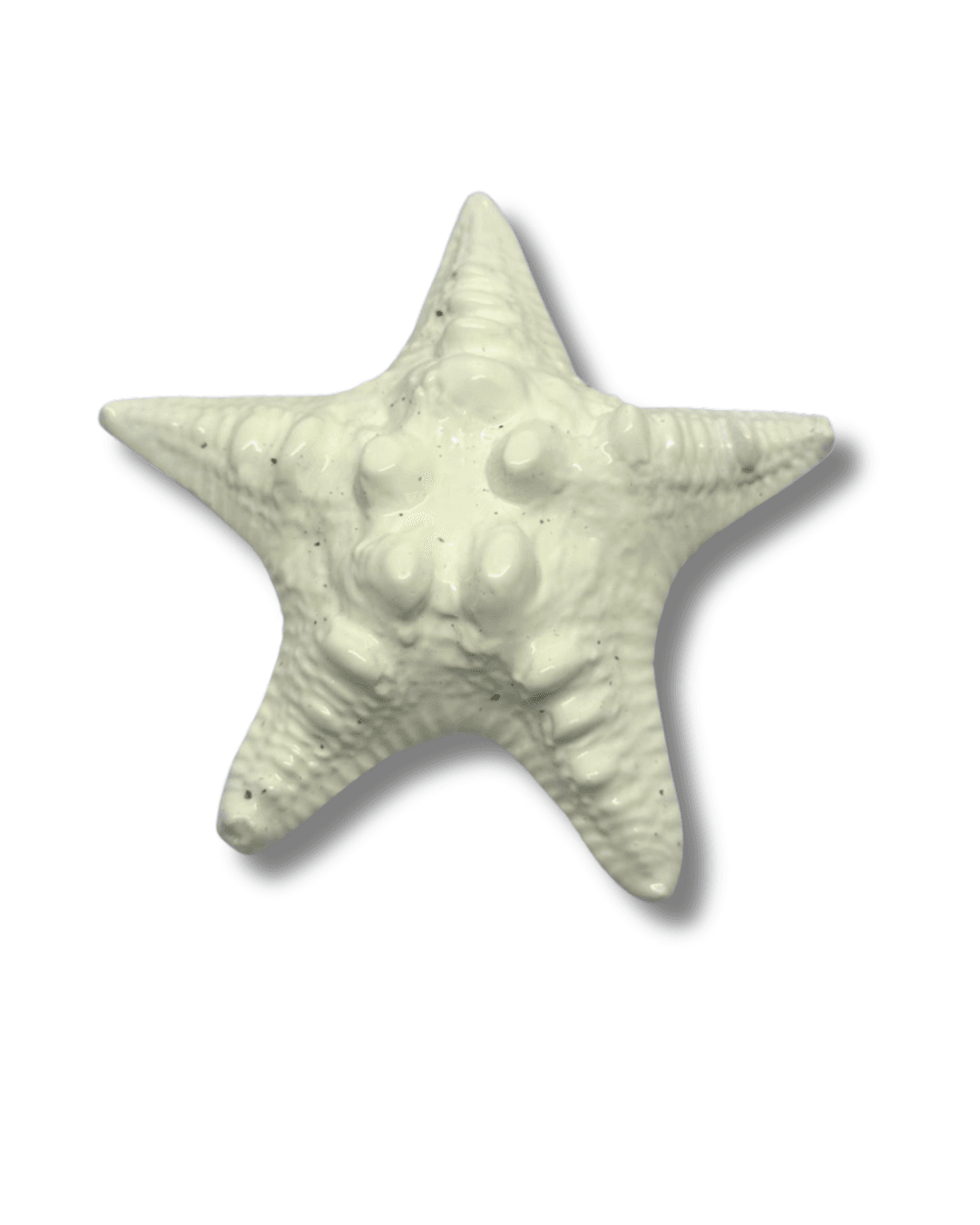 Pemberat Bintang Laut 1kg thumbnail 5