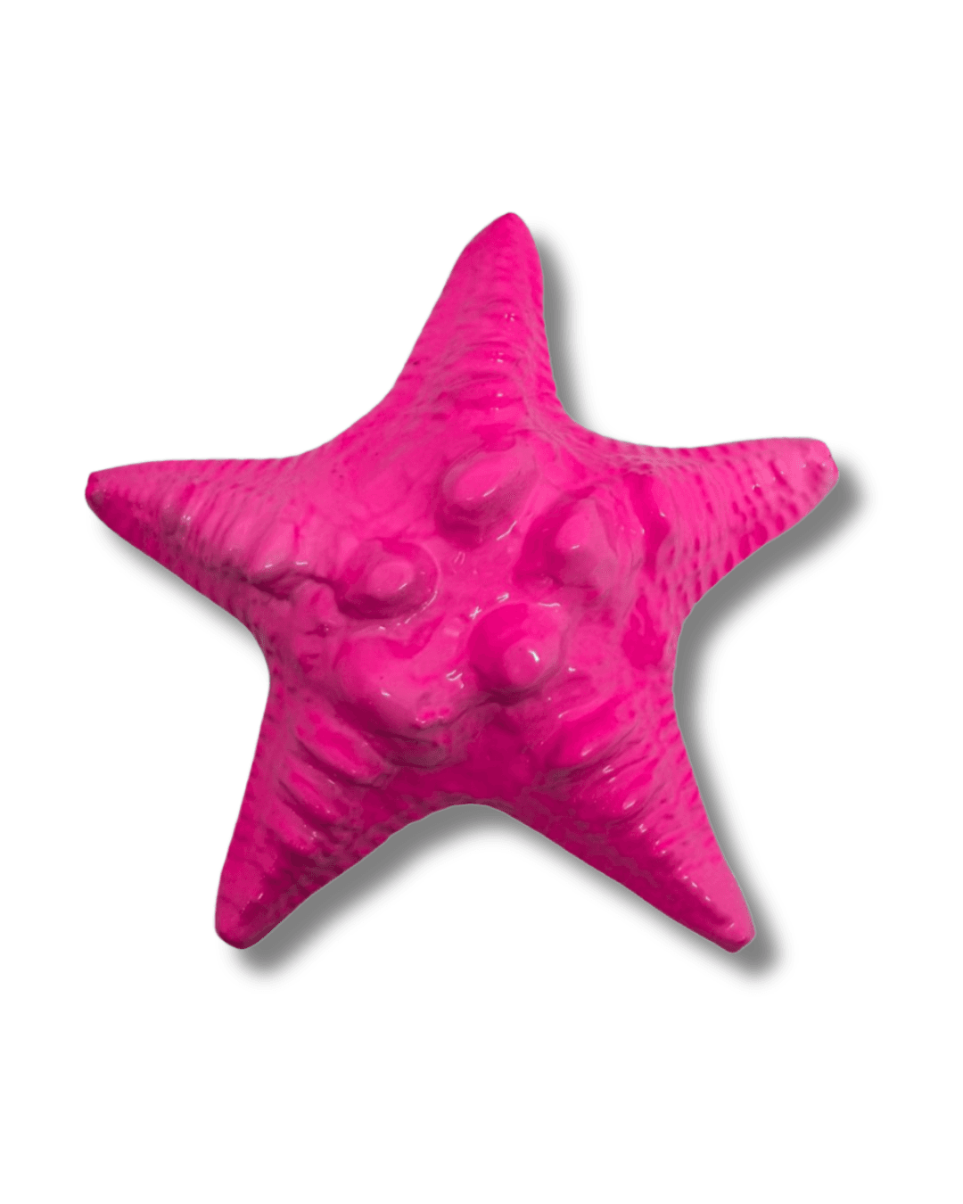 Pemberat Bintang Laut 1kg thumbnail 6