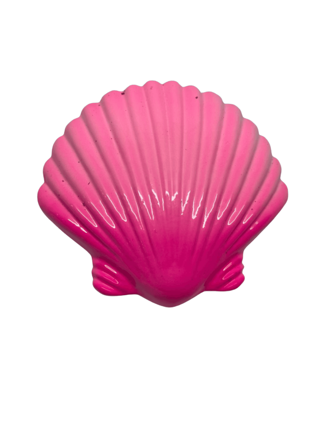 Pemberat Shell - alternate view