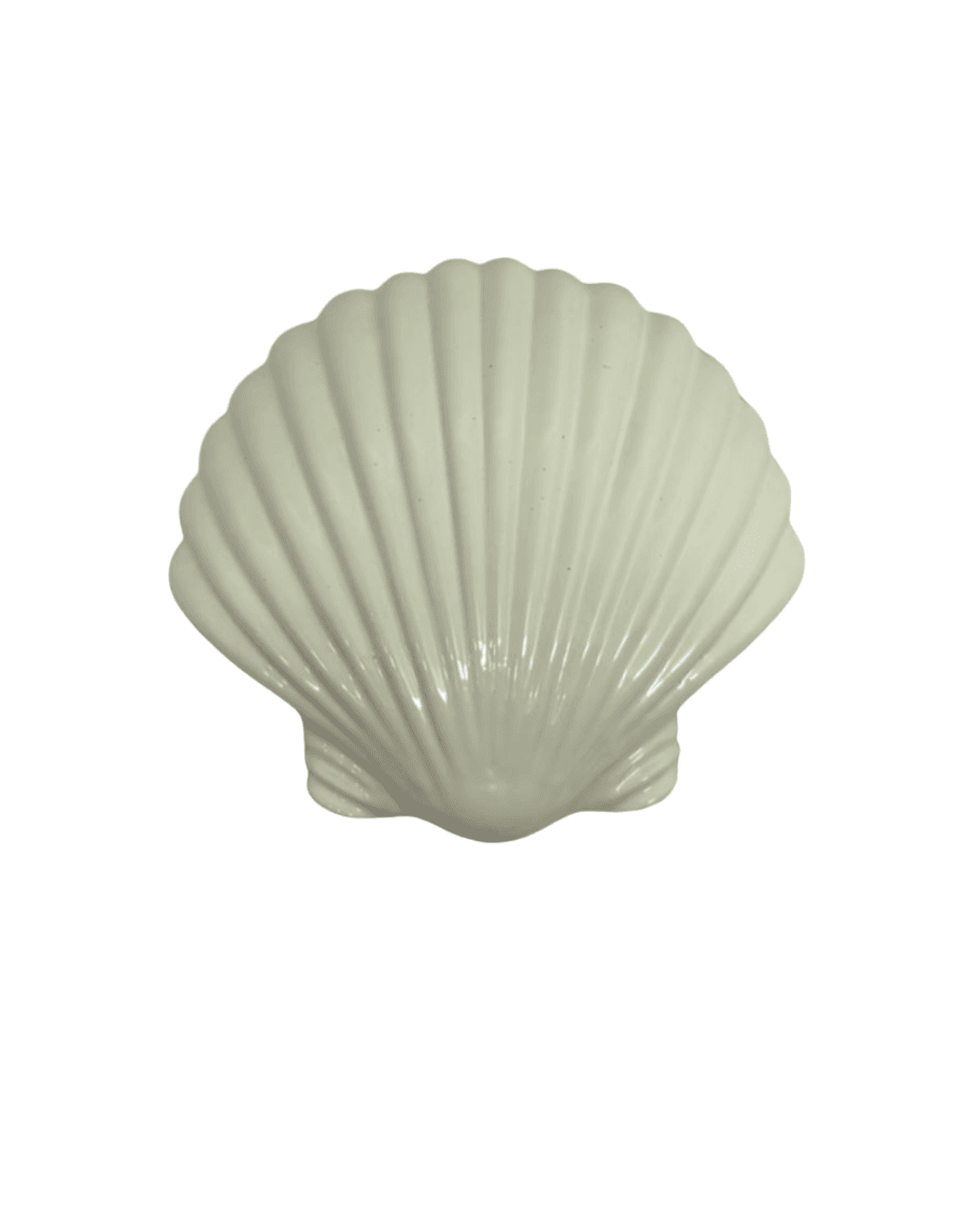 Pemberat Shell thumbnail 3