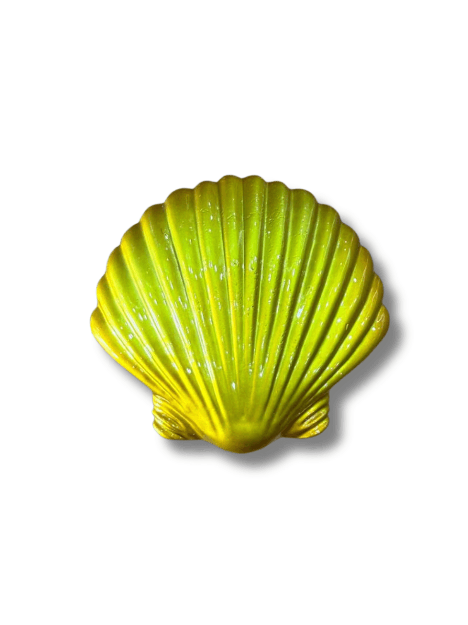 Pemberat Shell thumbnail 4