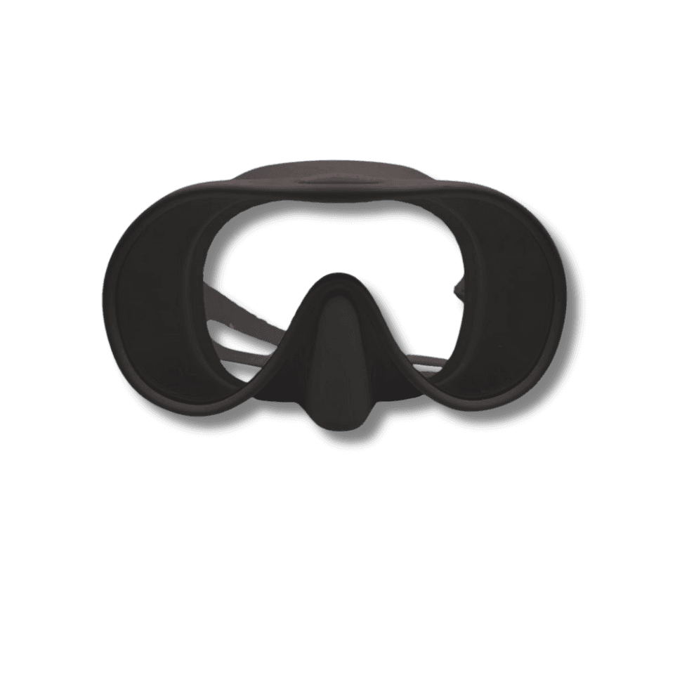 Arnesh Turtle Mask