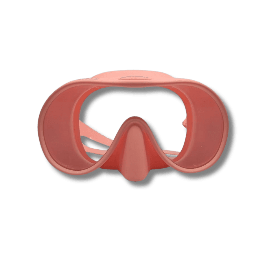 Arnesh Turtle Mask - alternate view