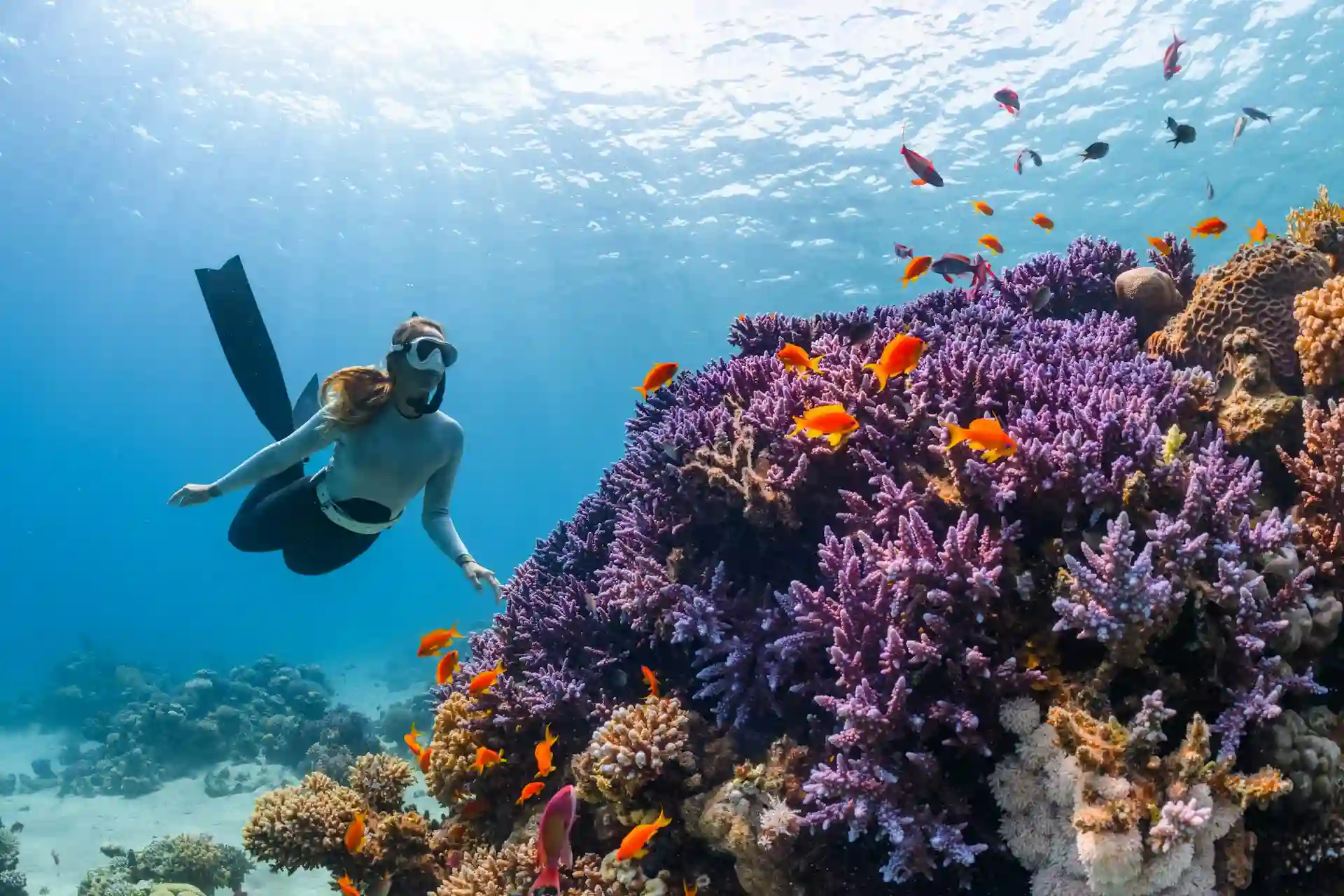 Freediving